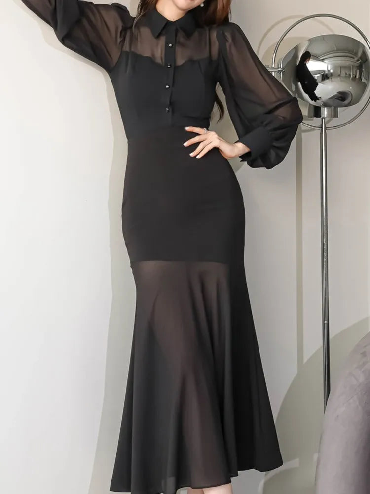 Black Mesh Long Sleeve Dress