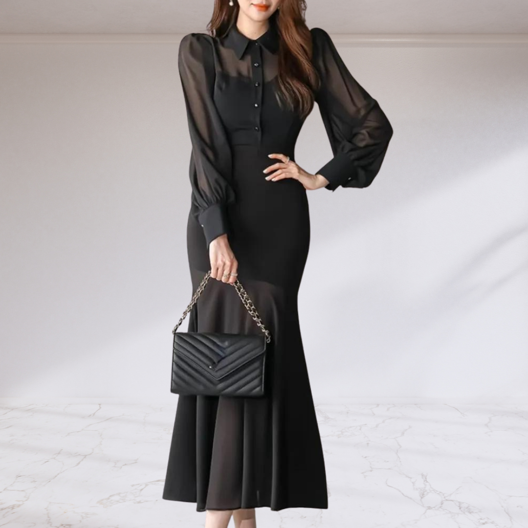 Black Mesh Long Sleeve Dress