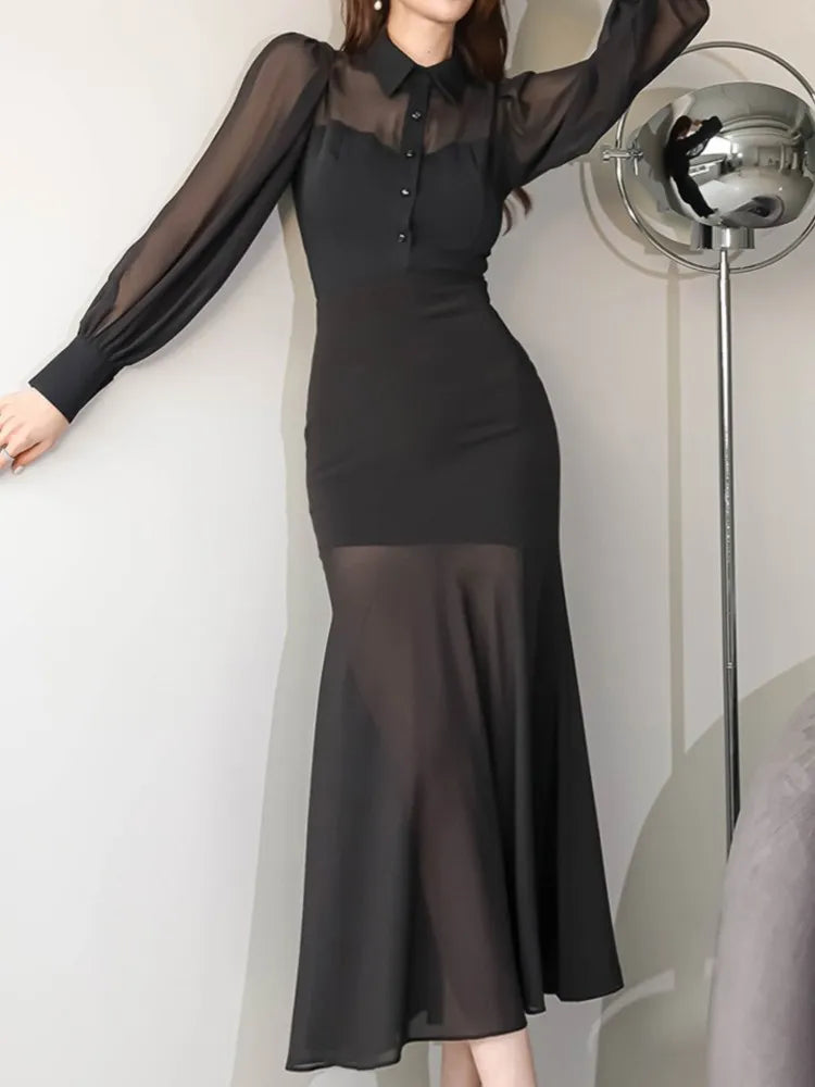 Black Mesh Long Sleeve Dress