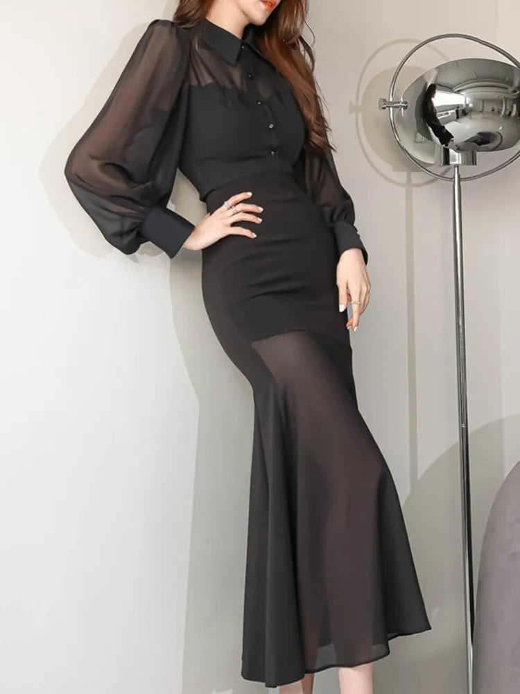 Black Mesh Long Sleeve Dress