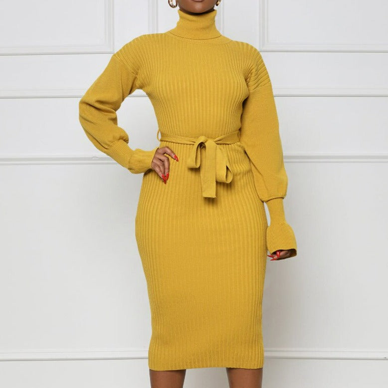 Ribbed Turtleneck Sweater Dress